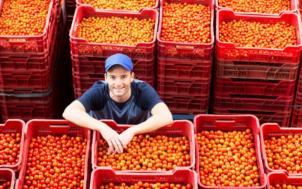 Supply chain software in fruits and delivery